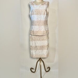 WHBM 2 Piece Lace Dress Career Skirt & Top Set White Taupe Stripe